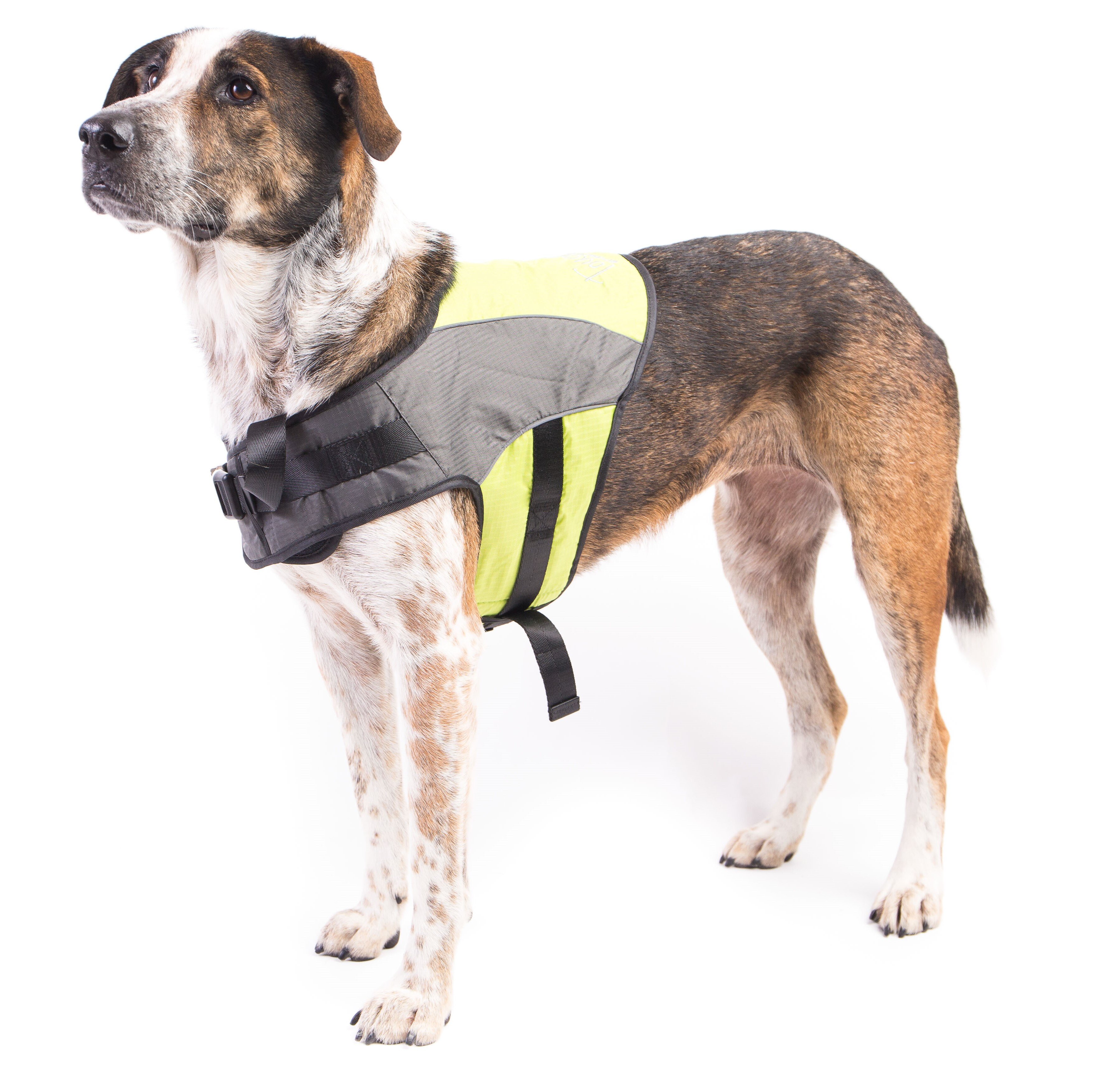 Soft Harness Vest Yellow DogCollars, Leads & HarnessesHarnesses