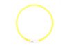 Rechargeable LED Silicone Dog Band
