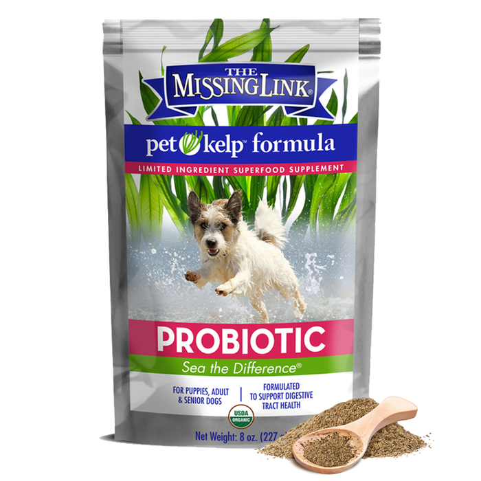 Pet Kelp Probiotic for Dogs 