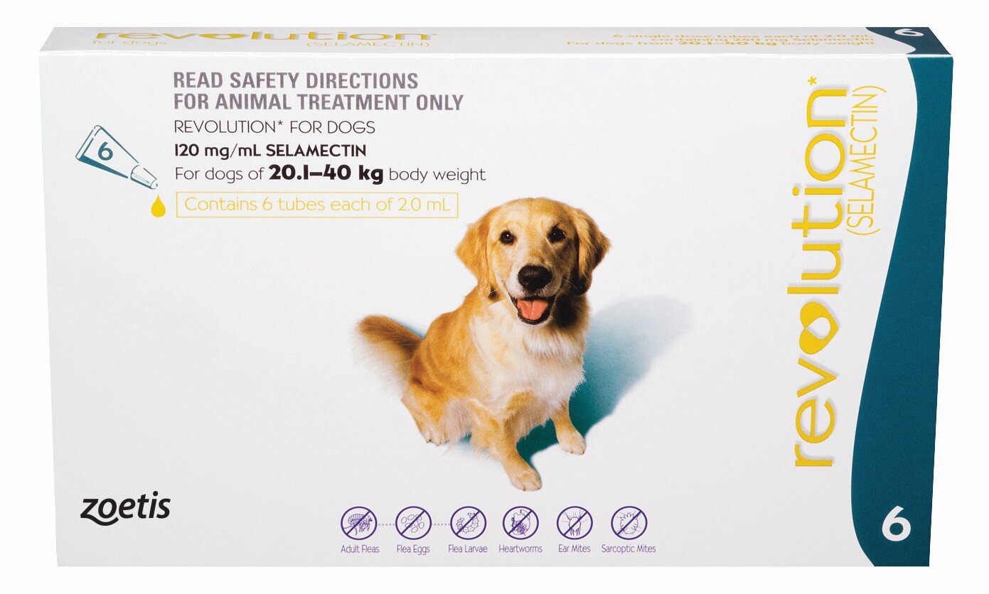 Revolution Large Dog 2040kg DogFlea & WormFlea Treatments Pet