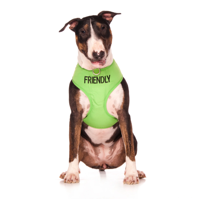 Friendly Dog Vest Harness