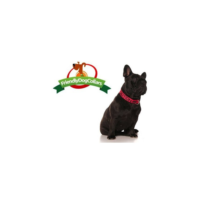 Caution Dog Clip Collar