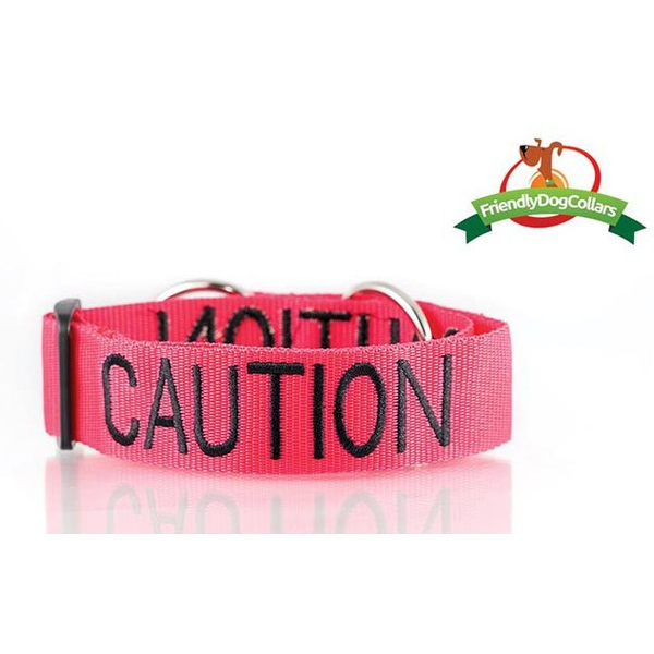 Caution Dog Semi Slip Collar