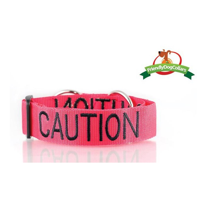 Caution Dog Semi Slip Collar