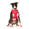 Caution Dog Vest Harness