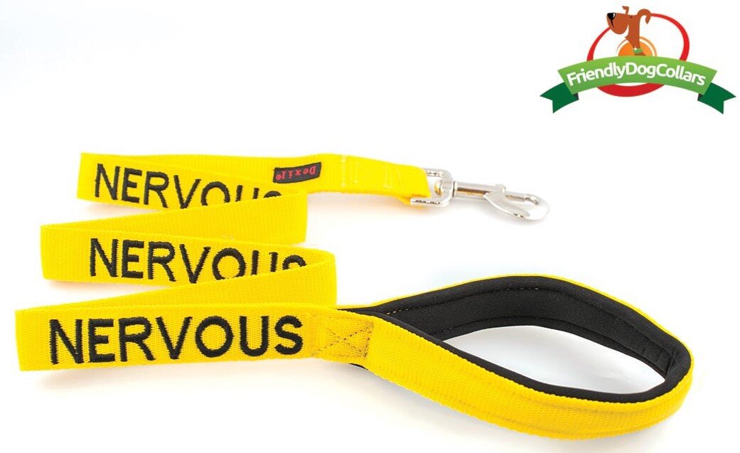 Yellow nervous dog lead hotsell