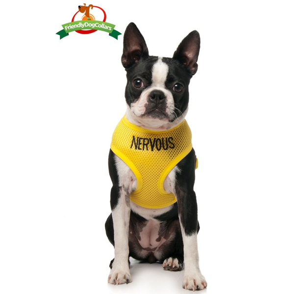 Nervous Dog Vest Harness