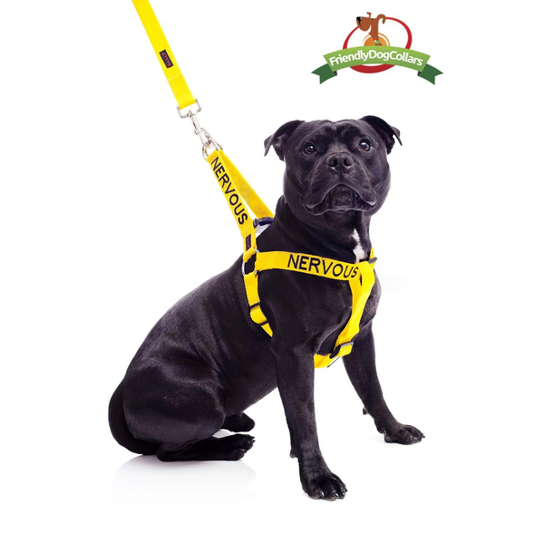 Yellow nervous hot sale dog harness