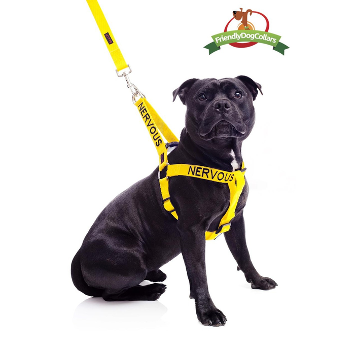 Nervous Dog Strap Harness