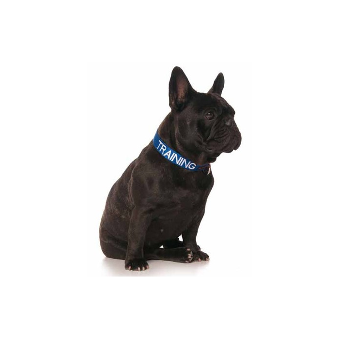 Training Dog Clip Collar