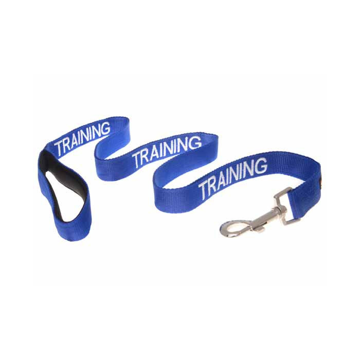 Training Dog Lead