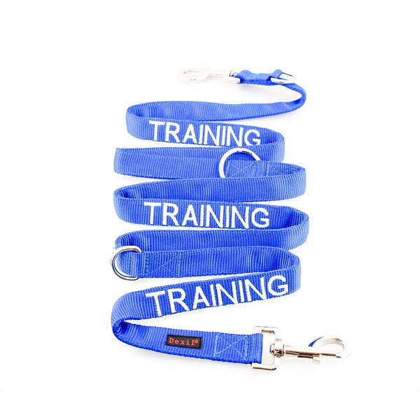Training Dog Special Training Lead