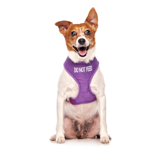 Do Not Feed Dog Vest Harness