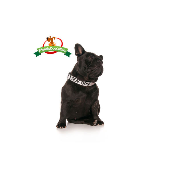 Deaf Dog Clip Collar