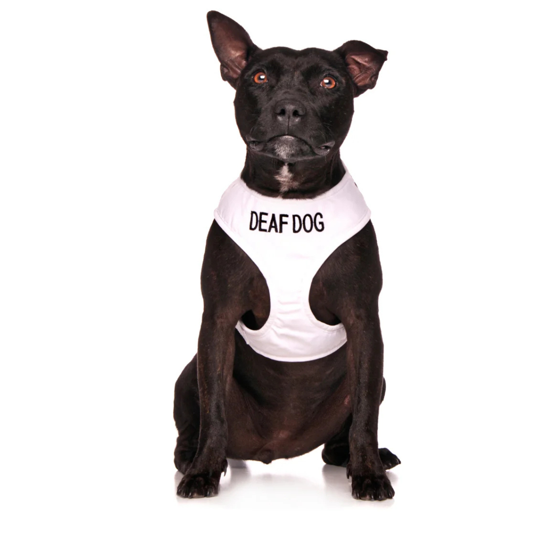 Deaf Dog Vest Harness DogCollars, Leads & HarnessesHarnesses Pet