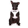 Deaf Dog Vest Harness