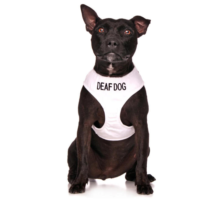 Deaf Dog Vest Harness