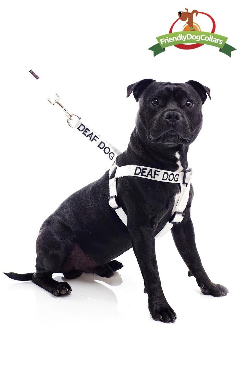Deaf Dog Strap Harness DogCollars, Leads & HarnessesHarnesses Pet
