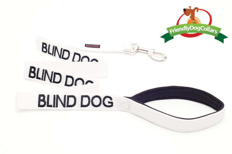 Blind Dog Lead DogCollars, Leads & HarnessesLeads Pet Shop