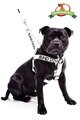 Blind Dog Strap Harness