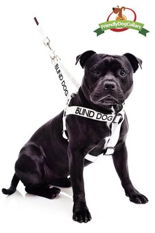 Deaf dog harness deals