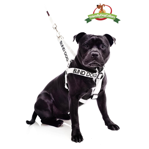 Blind Dog Strap Harness