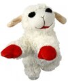 Lamb Chop