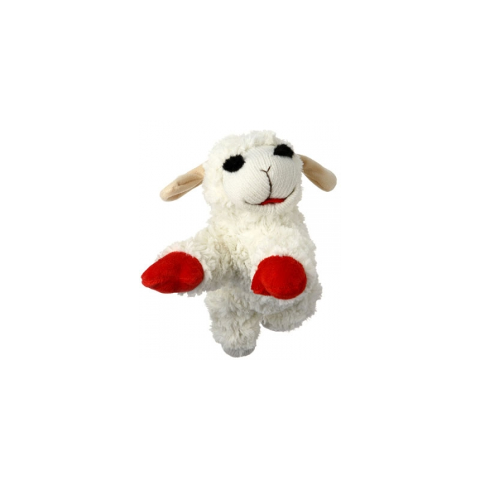 Lamb Chop