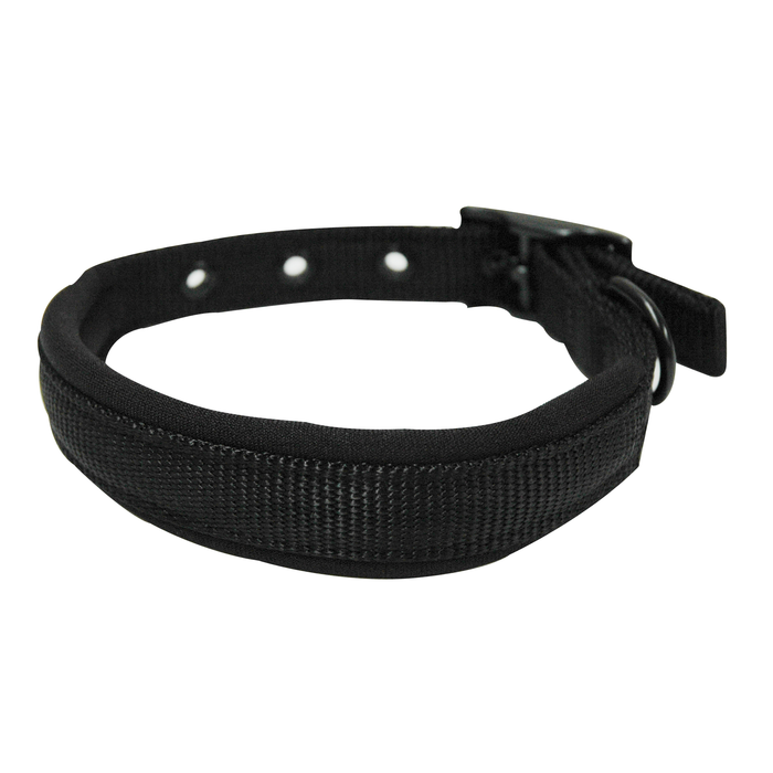 Yours Droolly Foam Collar