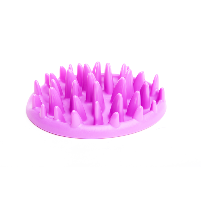 Catch Interactive Cat Feeder