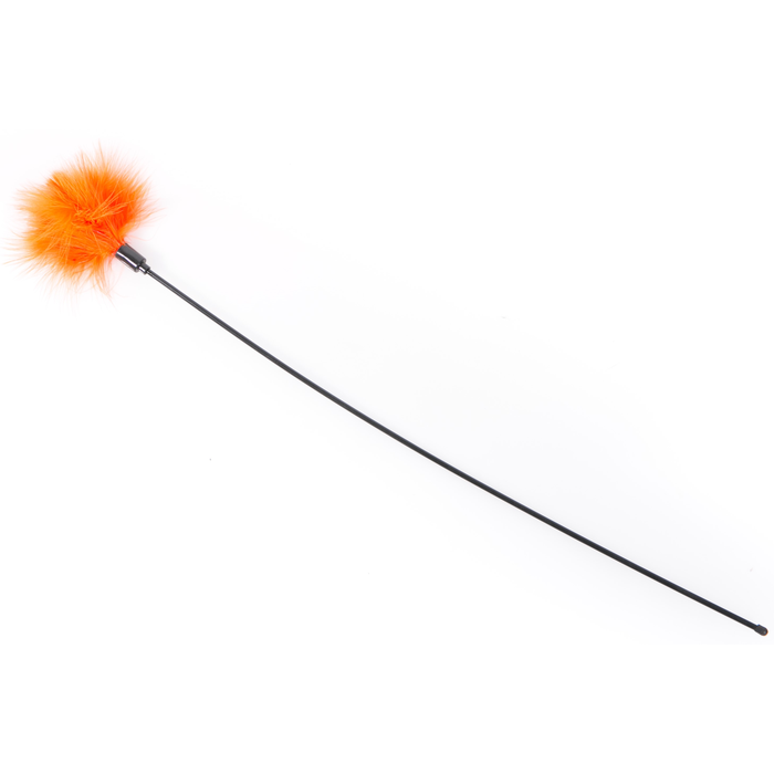 Orange Feather Teaser
