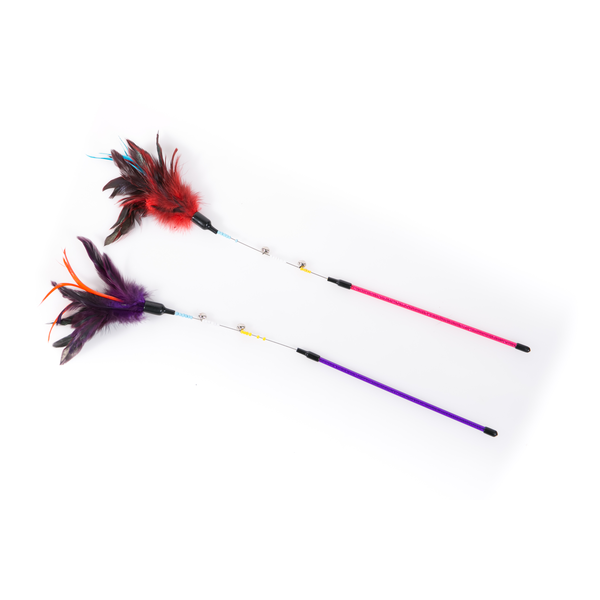 Flexi Feather Teaser