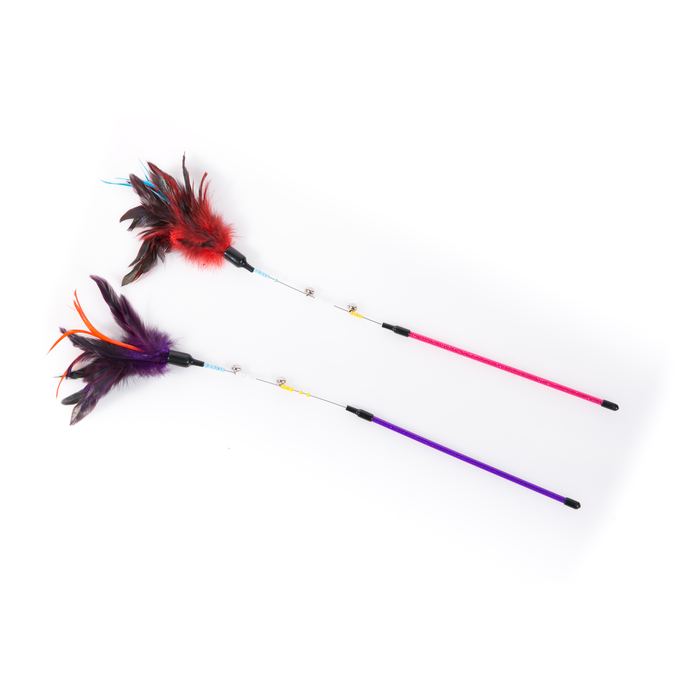 Flexi Feather Teaser