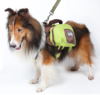 Doggie Backpack