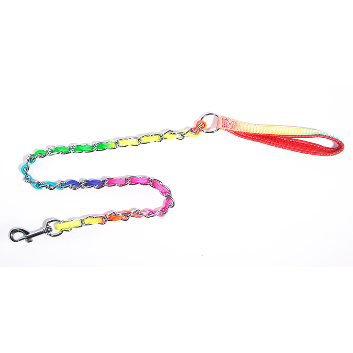 Rainbow Chain Lead