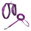 DOCO Signature Nylon Cat Harness & Leash Combo