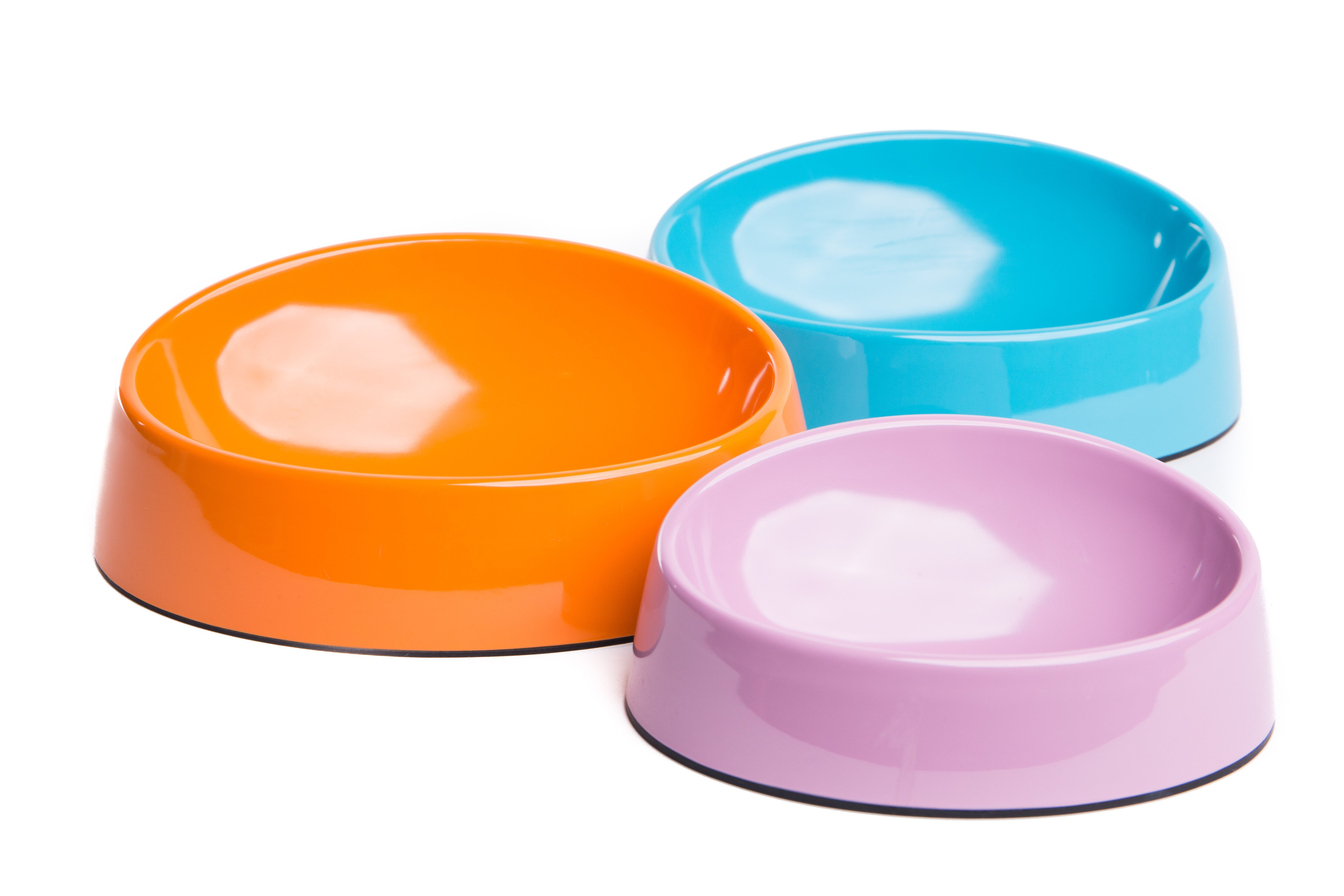 Short Nose Friendly Bowl DogBowls & FountainsBowls Pet Shop