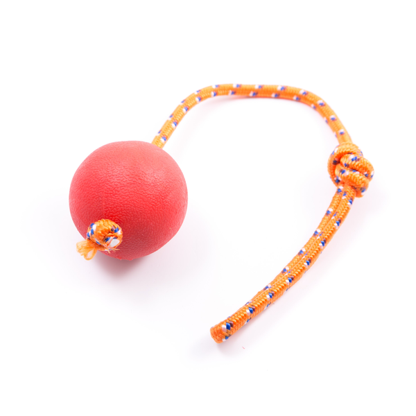 Red Rubber Ball on a Rope