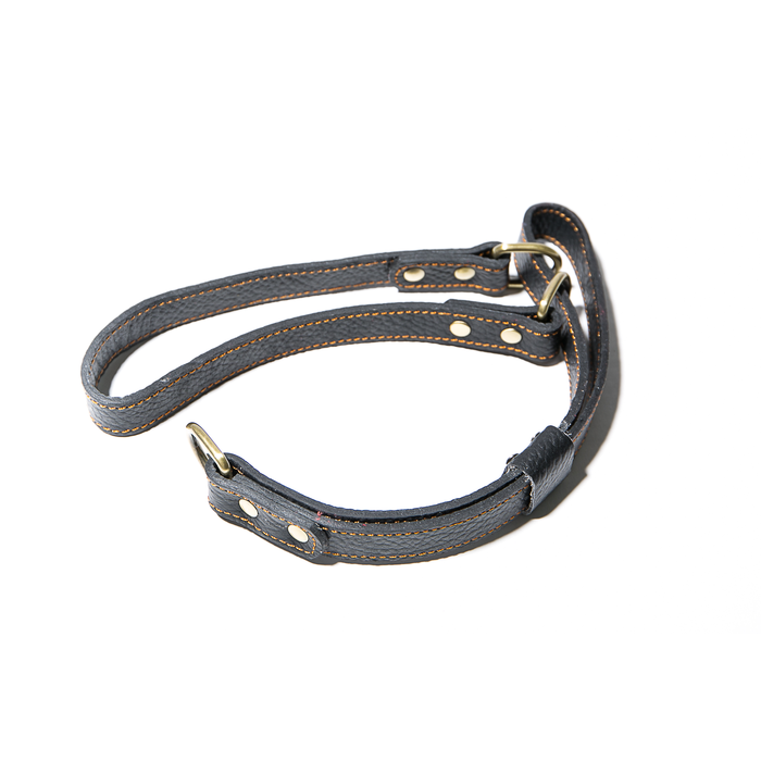 Leather Slip Collar