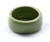 Ergonomic Dish - Green