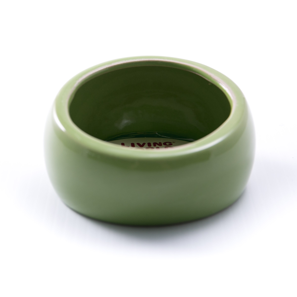 Ergonomic Dish - Green