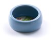 Ergonomic Dish - Blue