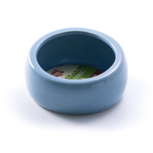 Ergonomic Dish - Blue