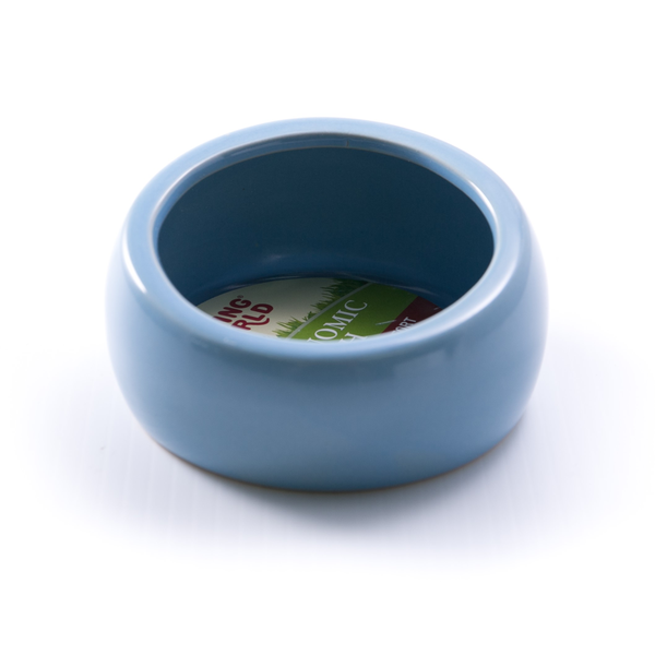 Ergonomic Dish - Blue