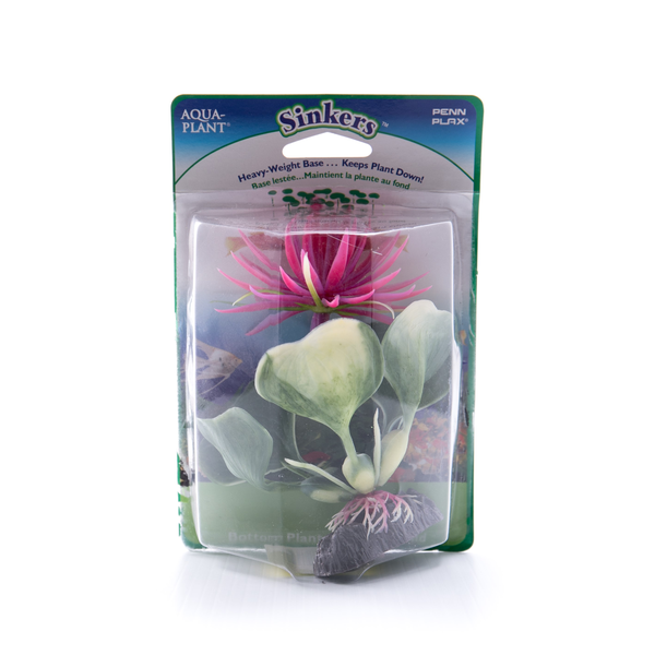 Sinkers Water Hyacinth