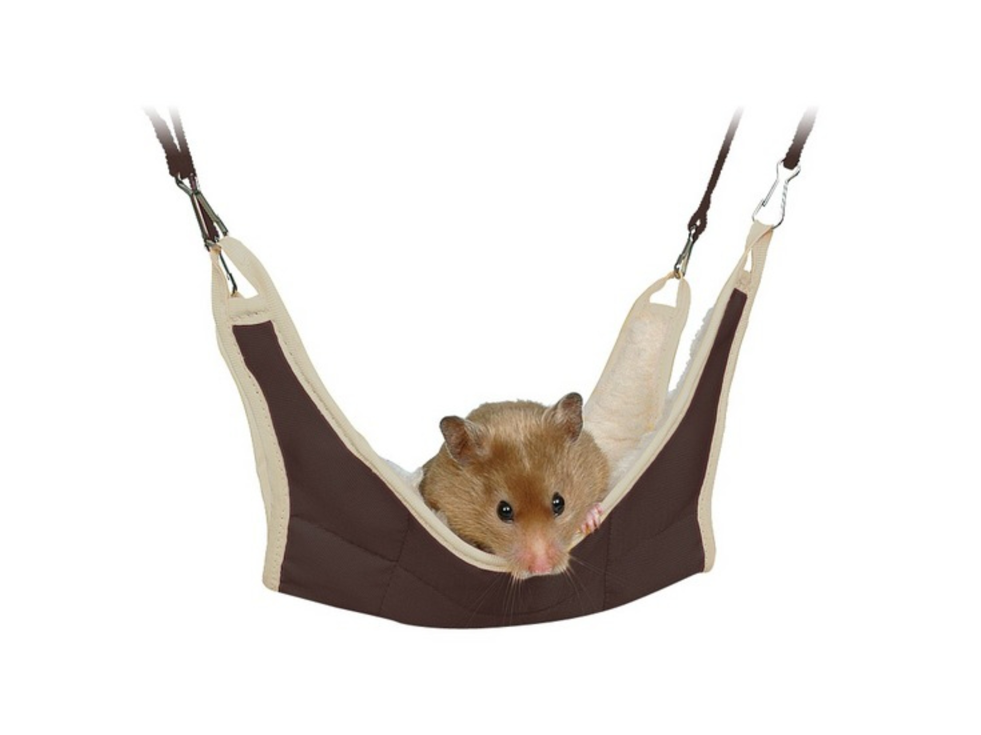 Mouse Hammock Small PetsLitter & BeddingBedding Pet Shop Auckland