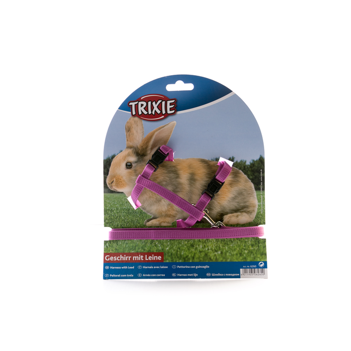 Rabbit Harness