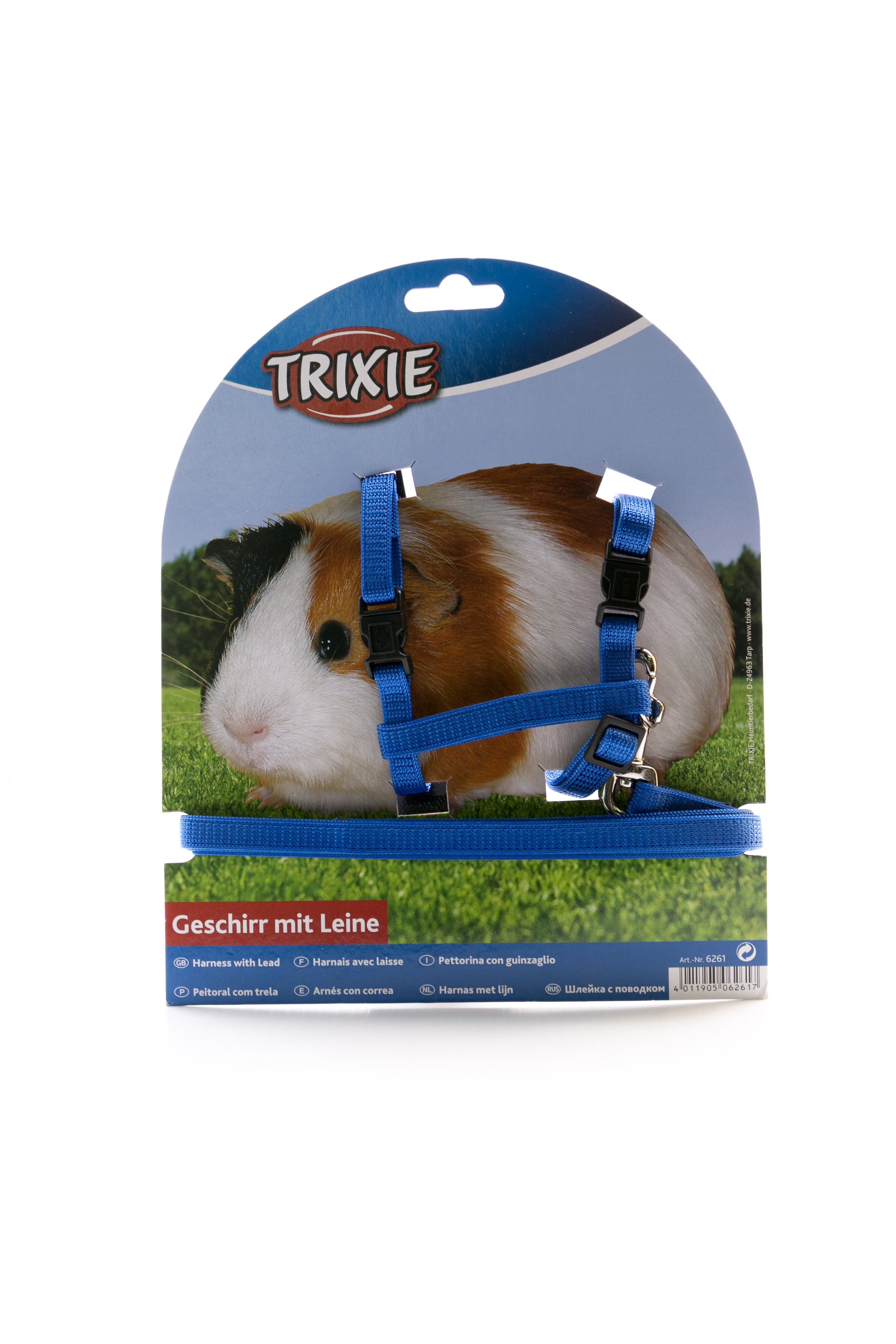 guinea pig leads harnesses