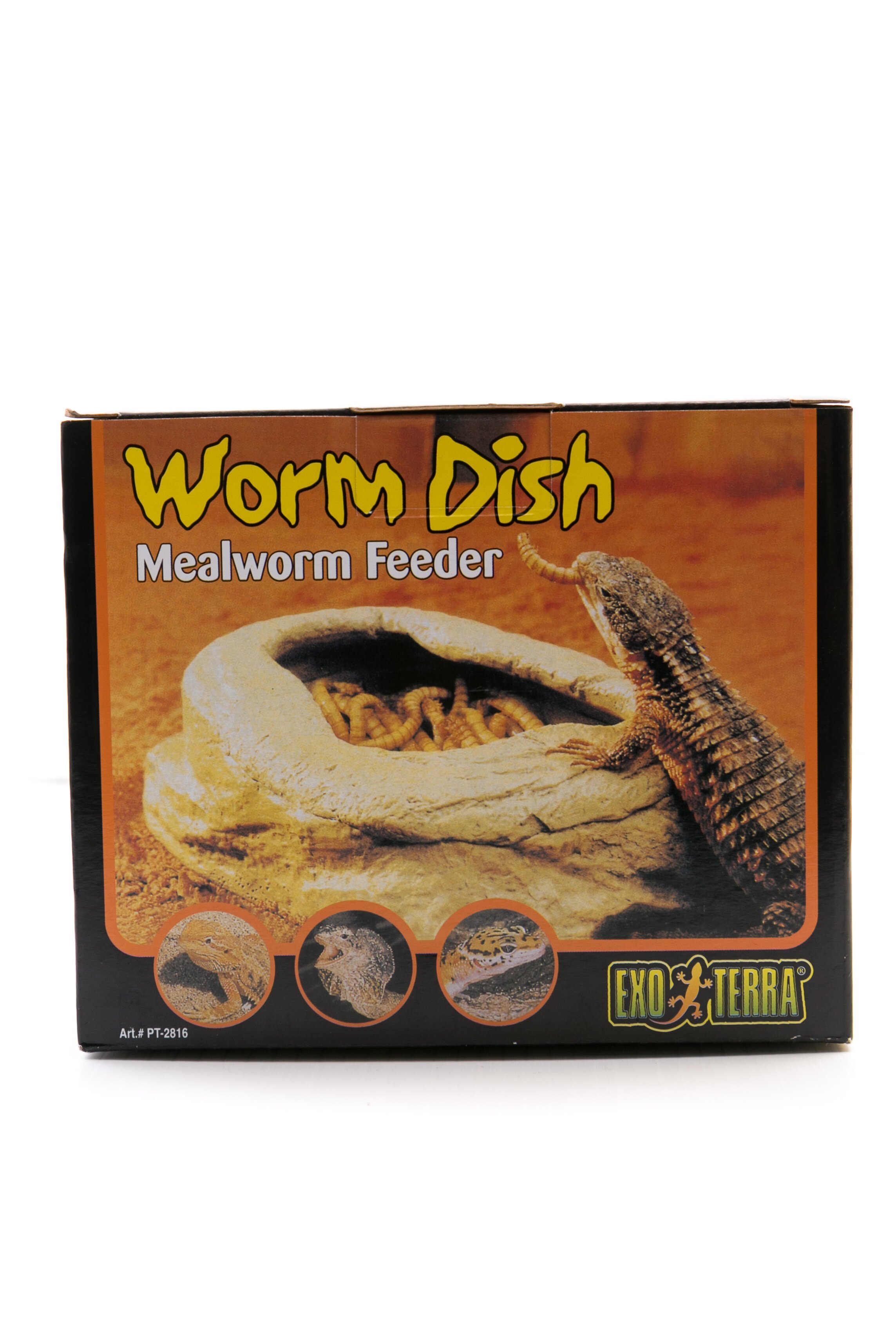 Meal Worm Feeder Dish Reptiles Bowls Pet Shop Auckland Pet