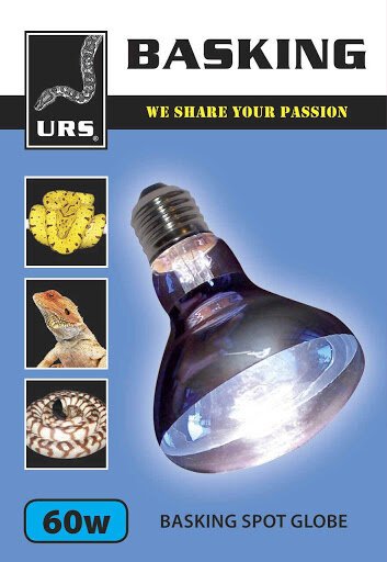 60 watt reptile clearance bulb